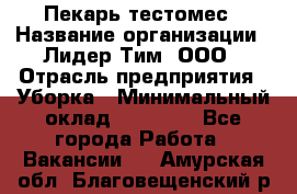 Пекарь-тестомес › Название организации ­ Лидер Тим, ООО › Отрасль предприятия ­ Уборка › Минимальный оклад ­ 30 000 - Все города Работа » Вакансии   . Амурская обл.,Благовещенский р-н